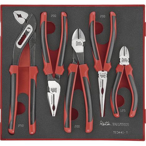 Jeu de pinces TPR Foam2 tray 5 pièces Teng Tools TED441-T (1/2)