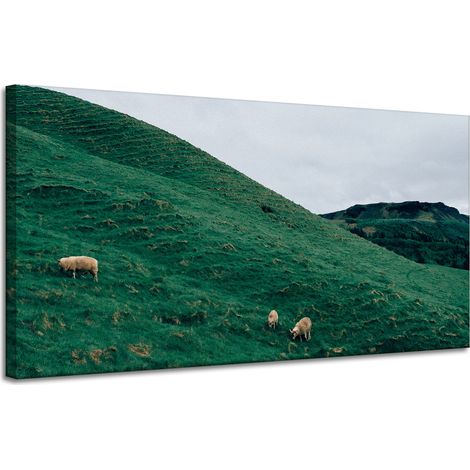 Leinwanddruck Naturweide in den Bergen 120x60