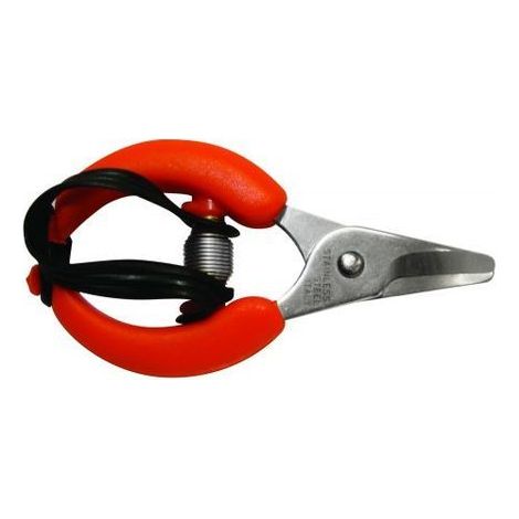 Ecef forbici cogliagrumi 10 cm per frutteto con lama curva in acciaio inox manici ergonomici rivestiti in PVC (1/2)