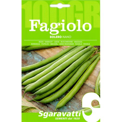 SEMI PER FAGIOLI fagiolo nano bolero - gr 250 fagiolo nano bolero - gr 250