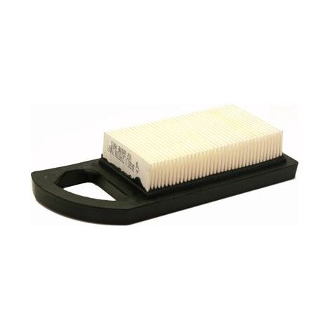 Filtro aria compatibile Briggs & Stratton avs 21A900 rasaerba