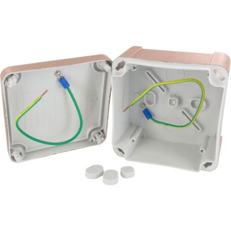 Boîte de dérivation FARABOX IP55 100x100x55mm - BLM 545429