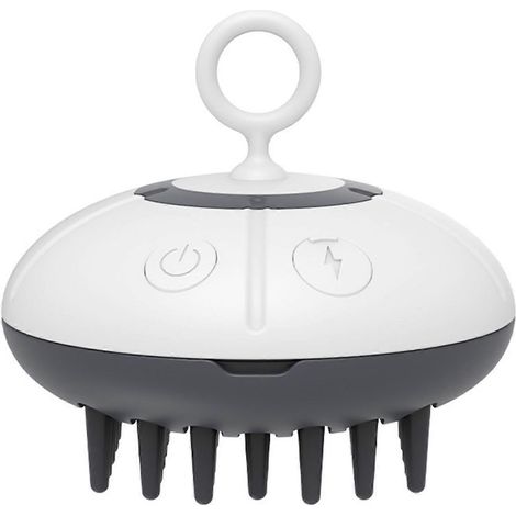 Brosse à poils pour animaux, peigne vapeur rechargeable, élimine efficacement les poils morts des animaux à pelage long (chiens et chats). (1/5)