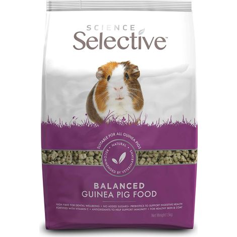 Selective Guinea Pig - 1.5kg - 210106 (1/5)