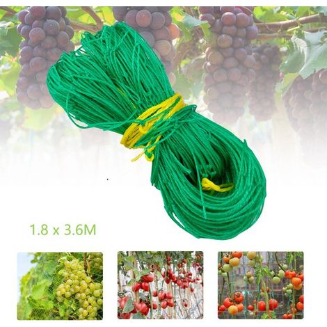 Filet de jardin en nylon pour plantes grimpantes, support d'escalade pour fleurs, fruits, légumes et tomates, 3,6 x 1,8 m, mailles de 10 cm (1/5)