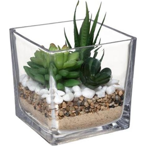 Composition "Plante Artificielle" 15cm Transparent (1/3)