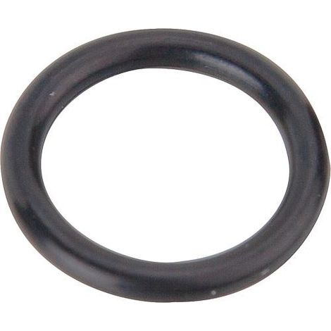 Joint torique Kludi 16,3 x 2 noir