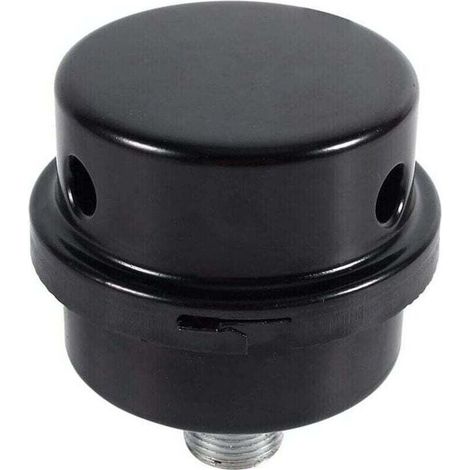 Enowelir Filtre Silencieux pour Compresseur d'Air avec Raccord 3/8 Pouce 16mm (1/4)