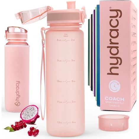 Trinkflasche mit Fruchteinsatz 500ml BPA-frei mit Zeitmarkierung auslaufsicher Rosa Gold (1/5)