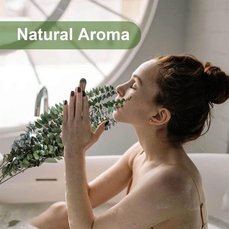 10 Pack Branches d'Eucalyptus Véritables Vertes, Décoration Naturelle pour Salle de Bain, Spa et Mariage (1/4)