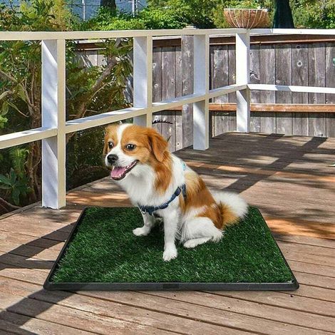 Chiens pelouse toilette chien toilette chien pot chien toilette lavable chiot pot chiot toilette avec tapis d'herbe 51x63cm Tapis, coussin et matelas pour chien S'arêern
