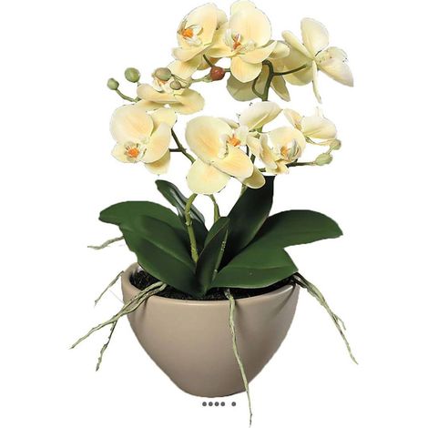 Fausse orchidée en pot céramique H 35 cm adorable Crème vert - couleur: Crème vert