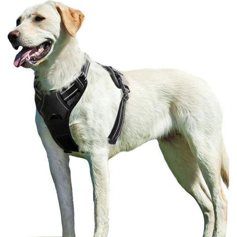 Harnais Chien L, Harnais Anti Traction pour Chien, Facile à Mettre, avec Poignée Contrôle, Arnet pour Chien Réfléchissant, (1/4)