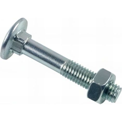 Boulon tête ronde collet carré 10 x 140 mm Zingué - Boite de 25 pcs - BTRCC1014002B (1/2)