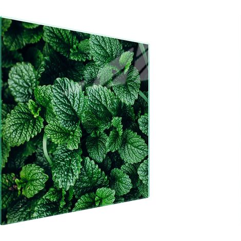 PLACA PROTECTORA DE VIDRIO PARA ESTUFA 50x52 MELISA (1/5)