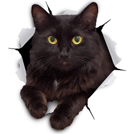 Autocollants De Décoration Voiture Moto Chat Noir, Accessoires (1/2)