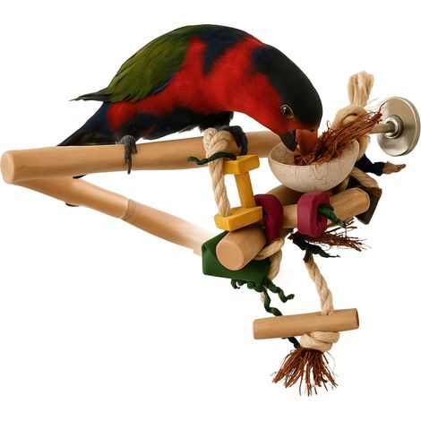 Rama de perca de Java con juguetes M/L: un rincón único de la naturaleza para loros grandes y medianos (1/5)