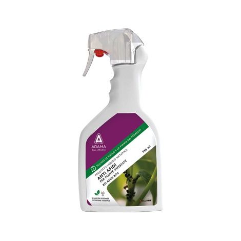 INSETTICIDA KO AFIDI 750 ML.