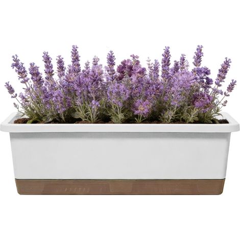 Töpfe Rechteckige Blumenpflanzung Behälter mit Reservoir (1/5)