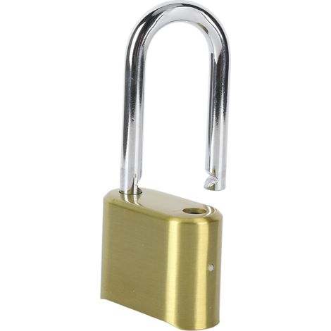Cadenas à combinaison à 4 chiffres, résistant aux intempéries, réinitialisable, robuste pour l'extérieur (1/5)