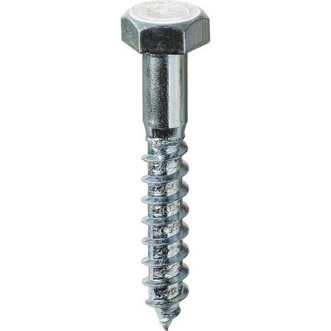 1CF TIRAFONDI PER LEGNO TE Chiave 10 mm. 6x40  100 PZ.