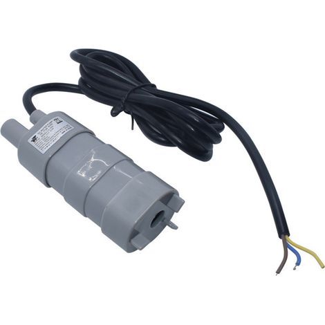Pompe submersible, pompe submersible 12 V, mini pompe à eau électrique 600 L/h pour puits, camping cars, étangs, aquariums et (1/4)