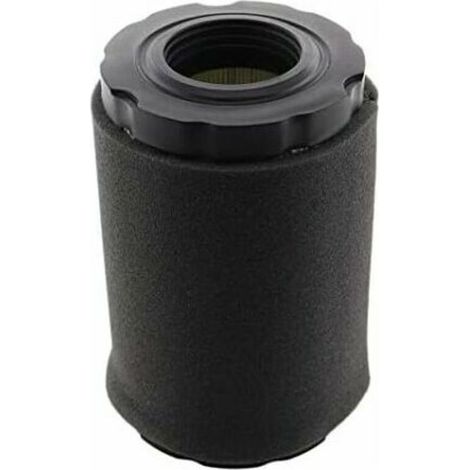 Filtre à air avec couvercle pour Briggs & Stratton 550E 575EX 625EXI 650EXI 675EXI remplace 594106 798339 pièce moteur (1/5)