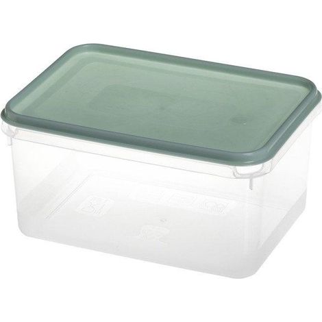 Contenitore emsa Rettangolare menta 3 litri plastica