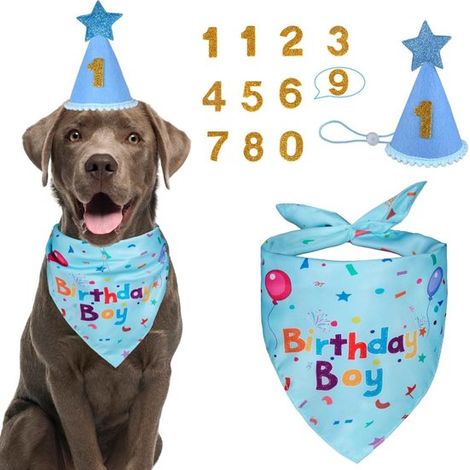 Feste di compleanno per cani, set di bandane per compleanno per cani, cappello di compleanno per cani con numeri per maschi e femmine, cappello bandana per taglia grande, media e (1/5)