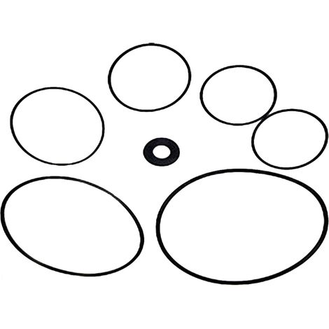 Set di guarnizioni per la pompa Astralpool Maxim. Rif. 4405010303