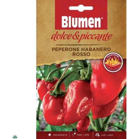 BUSTINA CON SEMI DI PEPERONE HABANERO ROSSO PICCANTISSIMO