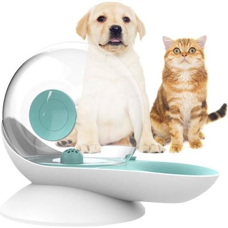 Distributeur d'eau pour Chat Chien, Abreuvoir à gravité pour Chat, Forme d'escargot, Fontaine d'eau pour Chat Automatique, (Vert) (1/5)