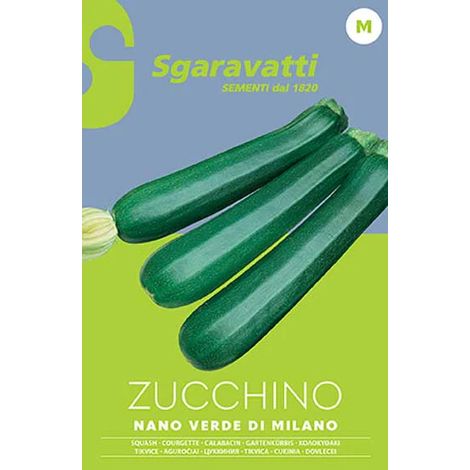 Semi per Ortaggi e Vegetali Zucchino Nano Sgaravatti Verde di 10 Pezzi (1/2)