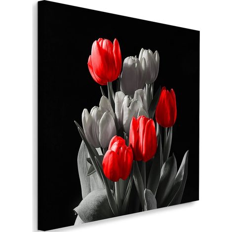 Tableau décoratif Fleur de tulipe rouge gris 40x40 (1/5)