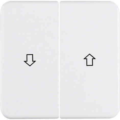 BERKER INTERRUPTEUR À BASCULE PWS 155229 WG-UP IP44 4011334186656