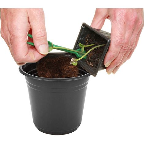 Lot de 100 pots de pépinière noirs en plastique pour semis, idéaux pour la décoration de jardin et d'espace extérieur. (1/5)
