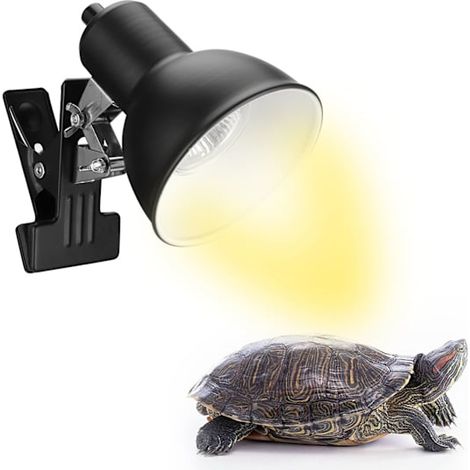Lampe chauffante pour reptiles 75W, lampe chauffante pour tortues (1/5)