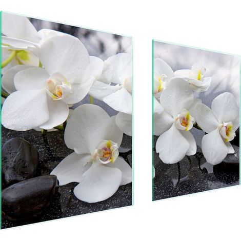 PIASTRA PROTETTIVA IN VETRO PER STUFA 85x52 ORCHIDEA (1/5)