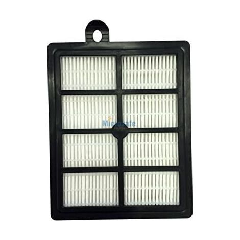 1 - Filtre HEPA - Filtre à air - Filtration allergènes et pollen - Pour aspirateur traîneau AEG série LX7 - Blanc