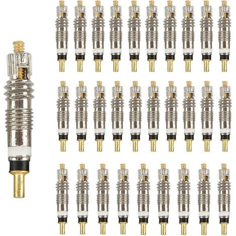 30 obus de valve français, obus de valve français pour la réparation de vélos, détachables. (1/5)