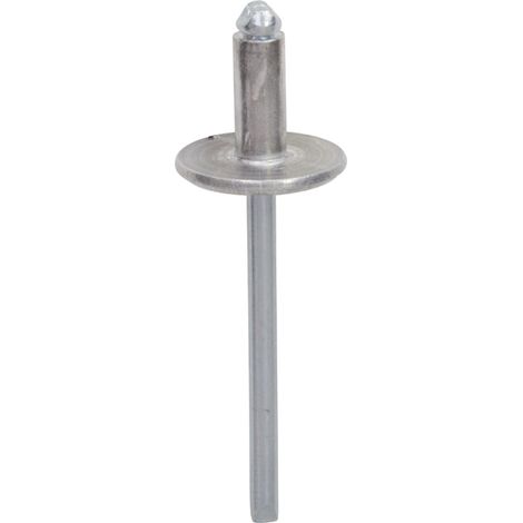 RESTAGRAF - Agrafes pour vehicules type renault - 12261 - Ce produit de marque Restagraf est neuf.