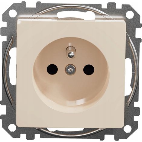 Presa schneider-electric sdd112011 termoplastica 3680 W (1/3)