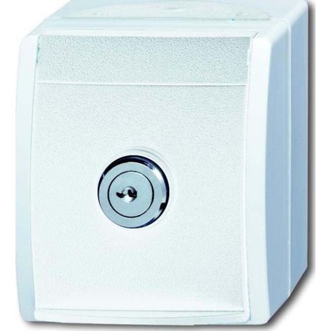 Busch-Jaeger Prise SCHUKO® avec couvercle à charnière et fermeture différente 16 A alpinweiß - ocean® (20 EWSL-54), 2CKA002083A0832