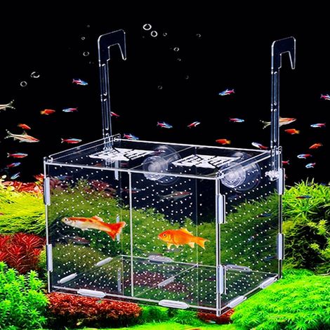 1 Boîte d'élevage, Acrylique, Transparent, 2 Compartiments, Séparateur, Pour Aquarium, Crevettes, Poissons (1/5)