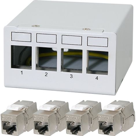 LOGILINK Panneau de brassage NK4090 4 ports avec 4 modules CAT6A inclus