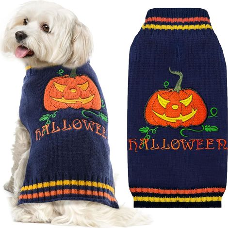 Pull-over Halloween - Citrouille pour chien, col haut bleu marine (1/5)