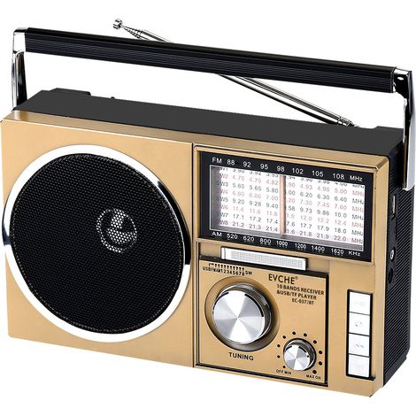 Radio rétro multi-bandes FM/AM/SW1-10 : Bluetooth, lecture TF/USB, batterie 1200mAh rechargeable