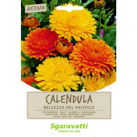 SEMI PER PRATO UNIVERSALE calendula bellezza del pacifico Q.TA 10 calendula bellezza del pacifico
