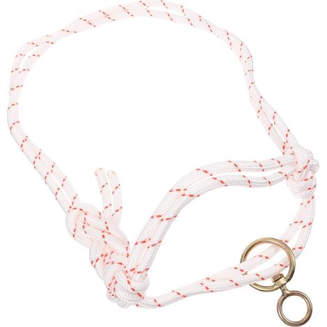 Licol de Sécurité en Corde Blanche Tressée Licol Pratique pour Bovins Équipement de Traction Bétail Portable et Résistant pour Veaux et Taureaux Usage Ferme et Ranch (1/5)