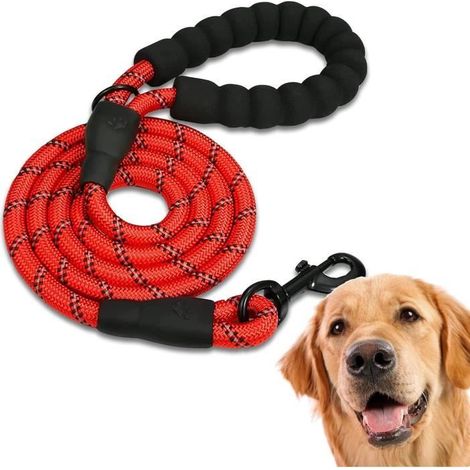 Laisse de Chien Forte et Confortable pour Chiens Moyens - FOOTIER - Rouge-Ywey (1/4)